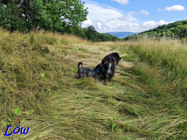 7.7.2025 - Ab die Post